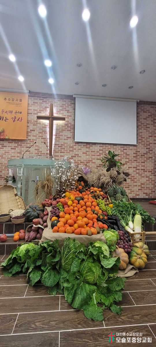 KakaoTalk_20231117_161326657.jpg